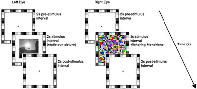 Pupil Size as a Gateway Into Conscious Interpretation of Brightness